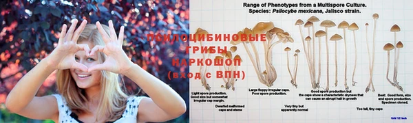 ECSTASY Белоозёрский