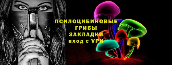 мяу мяу мука Белокуриха