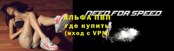 мяу мяу мука Белокуриха
