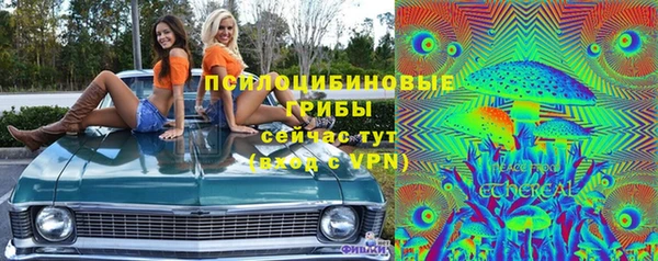мяу мяу мука Белокуриха
