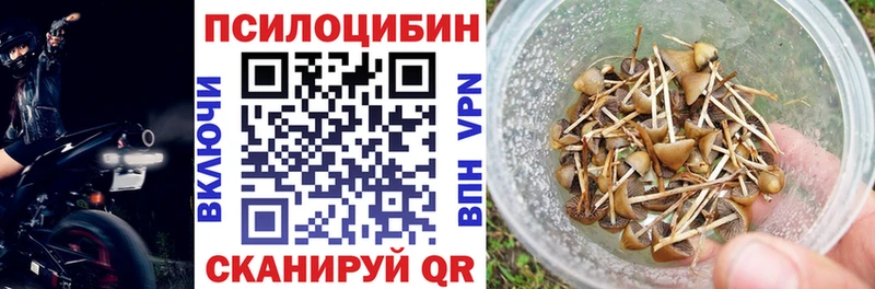 наркотики Воскресенск Галлюциногенные грибы Psilocybe