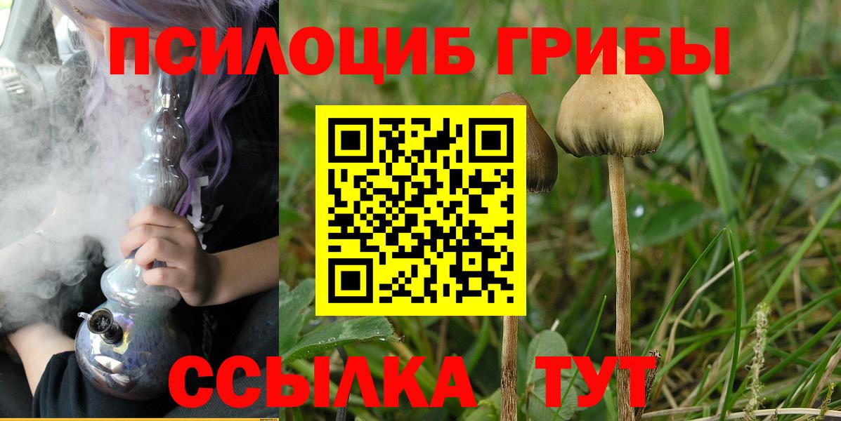 Воскресенск  Галлюциногенные грибы GOLDEN TEACHER  Вход с VPN  Псилоцибиновые грибы MAGIC MUSHROOMS 